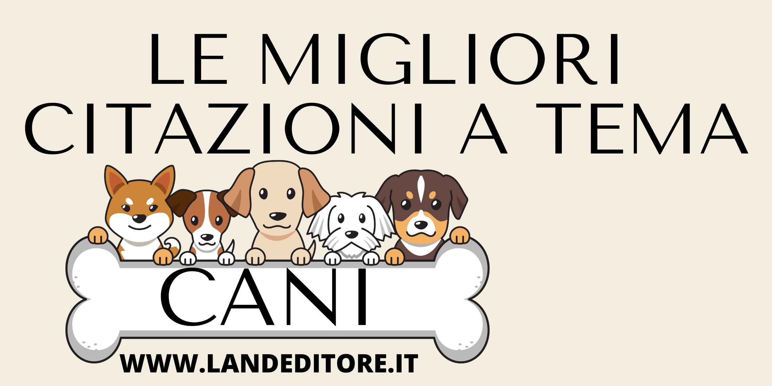 banner – 2025-06-09T104530.247 banner - 2025-06-09T104530.247