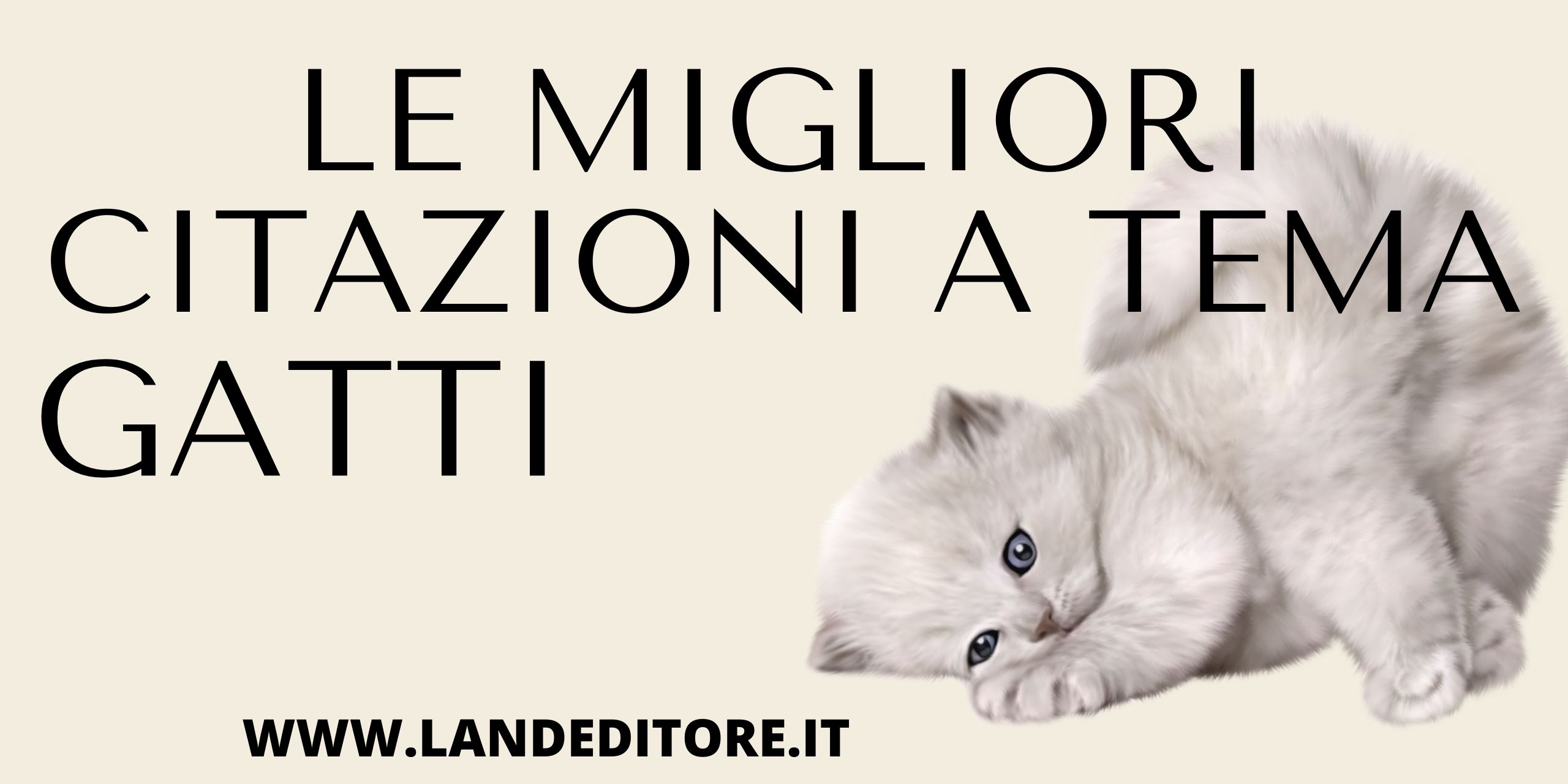 banner - 2025-06-09T105504.159