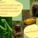 Come conquistare un maschio secondo natura