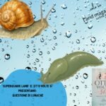 Questione di lumache